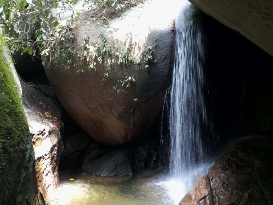 Rio de Janeiro: Tijuca National Park EcoTour - Stop 3: Cascatinha Taunay, Rio’s largest waterfall
