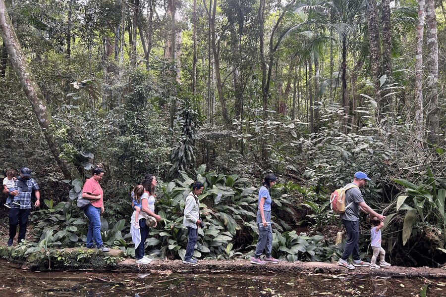 Rio de Janeiro: Tijuca National Park Tour - Visitor center time: where the forest becomes understandable