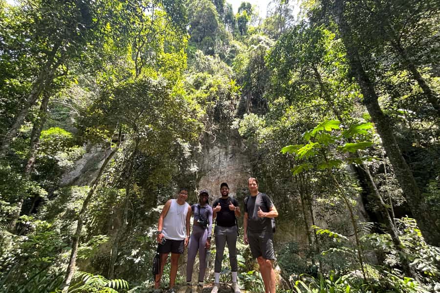 Rio de Janeiro: Tijuca National Park Tour - Cachoeira das Almas and A Floresta: nature plus human footprint