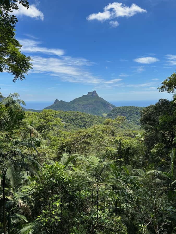 Rio de Janeiro: Tijuca National Park Tour - The road stops: viewpoints and waterfalls before you even start hiking