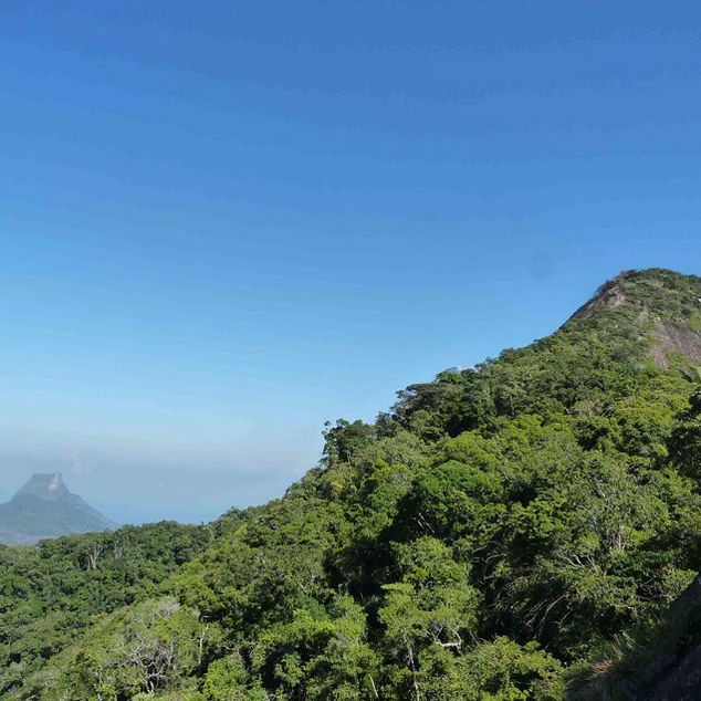 Rio de Janeiro: Tijuca Peak Guided Hike - Learning in the Tijuca National Park Museum