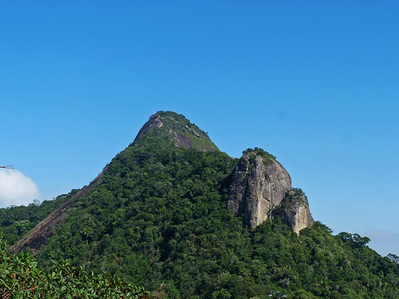 Rio de Janeiro: Tijuca Peak Guided Hike - Price and Value: Is $56 a Fair Deal?