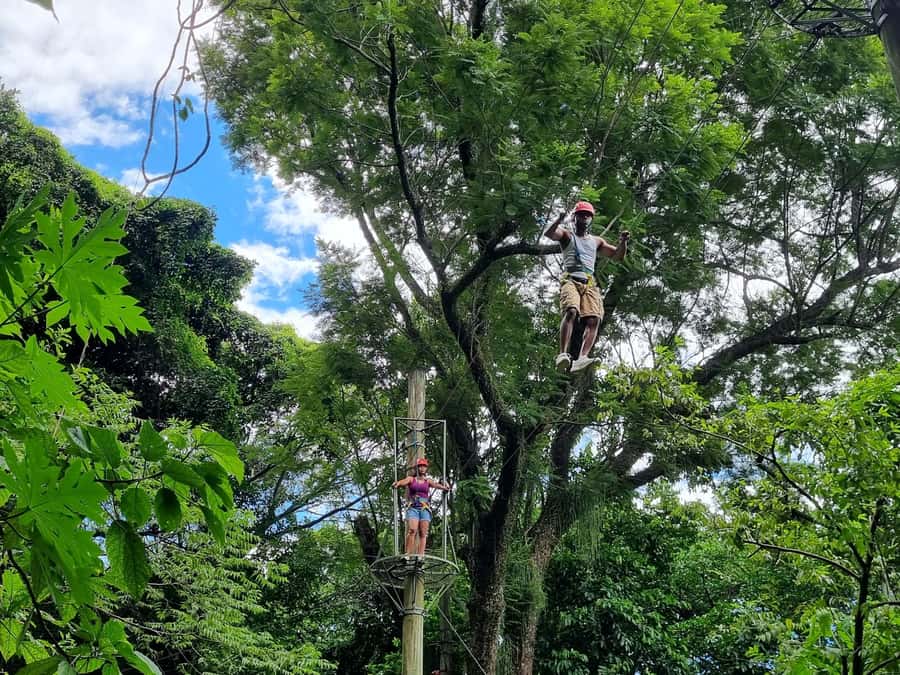 Rio de Janeiro: Zip Lining and Canopy Tree Tour - Key highlights at a glance