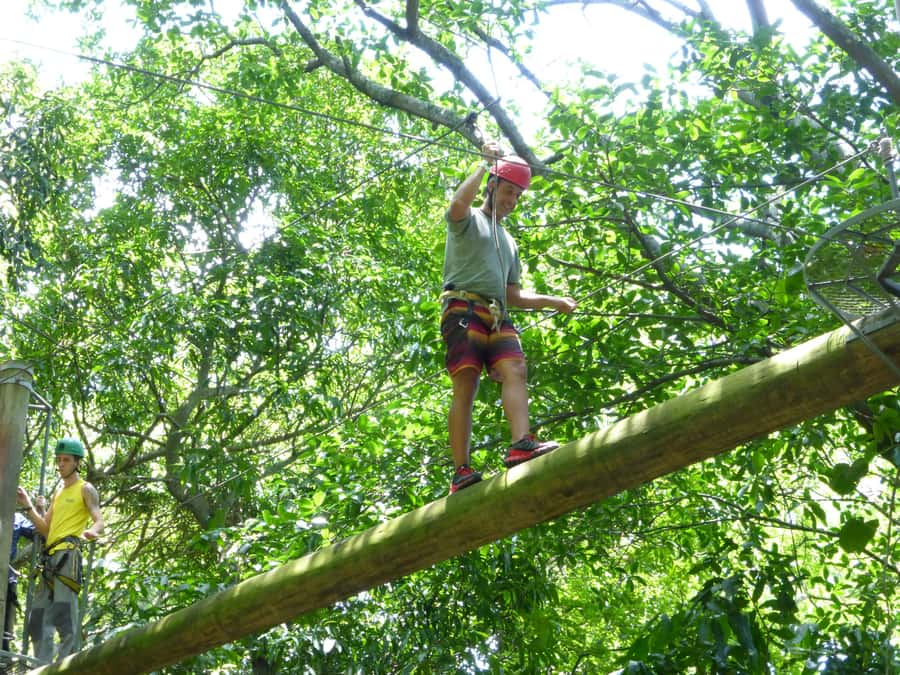 Rio de Janeiro: Zip Lining and Canopy Tree Tour - The hike to two viewpoints: what you get for your legs