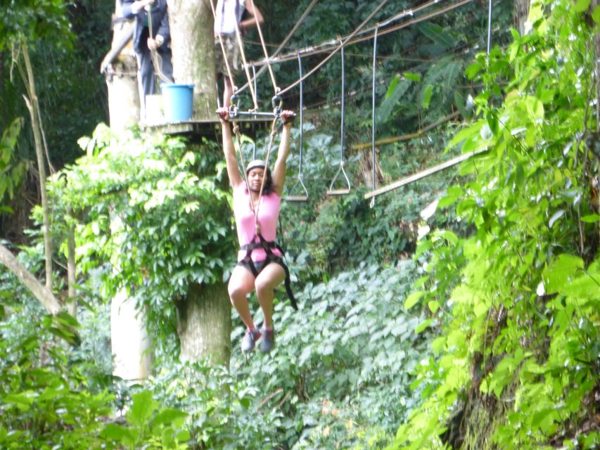 Rio de Janeiro: Zip Lining and Canopy Tree Tour - Camp activities after the adrenaline: a calmer landing