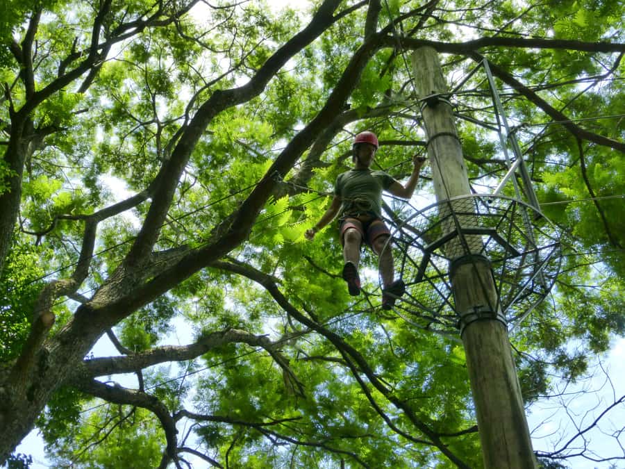 Rio de Janeiro: Zip Lining and Canopy Tree Tour - What to bring so you enjoy it (not just survive it)