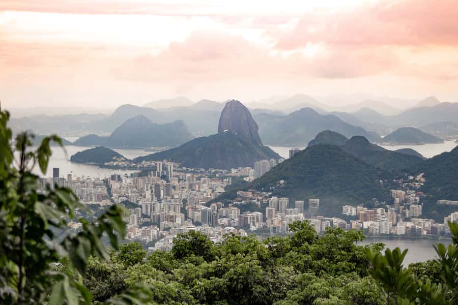 Rio: Half-Day Jeep Tour at Floresta da Tijuca - Jeeping into Tijuca, then walking the green paths
