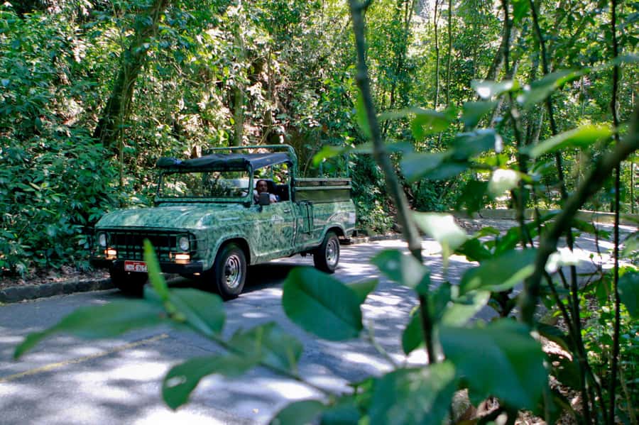 Rio: Half-Day Jeep Tour at Floresta da Tijuca - Tijuca National Forest by restored ex-military jeep