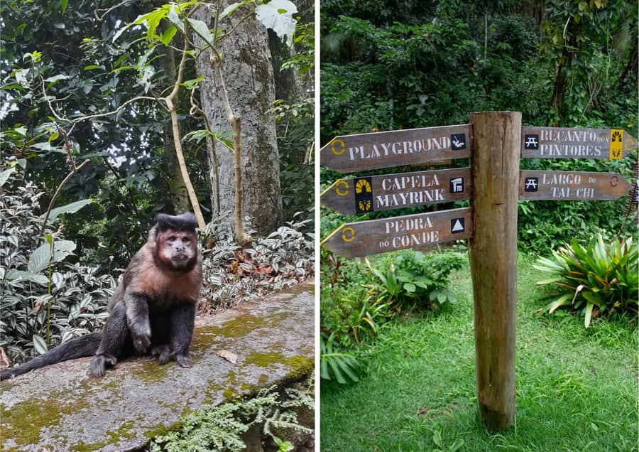 Rio: Half-Day Jeep Tour at Floresta da Tijuca - Vista Chinesa: views plus monument history in one stop