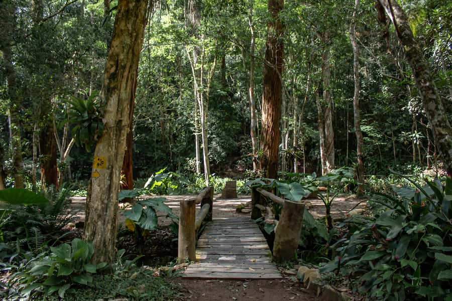 Rio: Half-Day Jeep Tour at Floresta da Tijuca - Cascatinha Visconde de Taunay waterfall, with a chance to cool off
