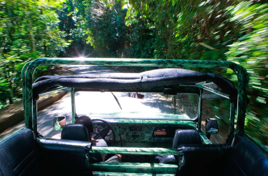 Rio: Half-Day Jeep Tour at Floresta da Tijuca - Capela Mayrink (1855) and the two easy trail walks