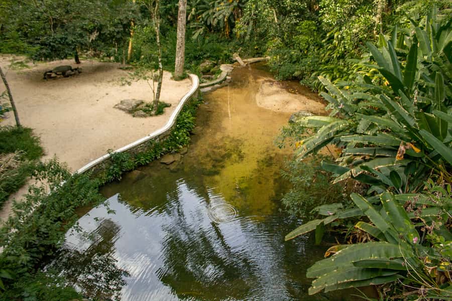 Rio: Half-Day Jeep Tour at Floresta da Tijuca - Guides and drivers: why the human touch matters