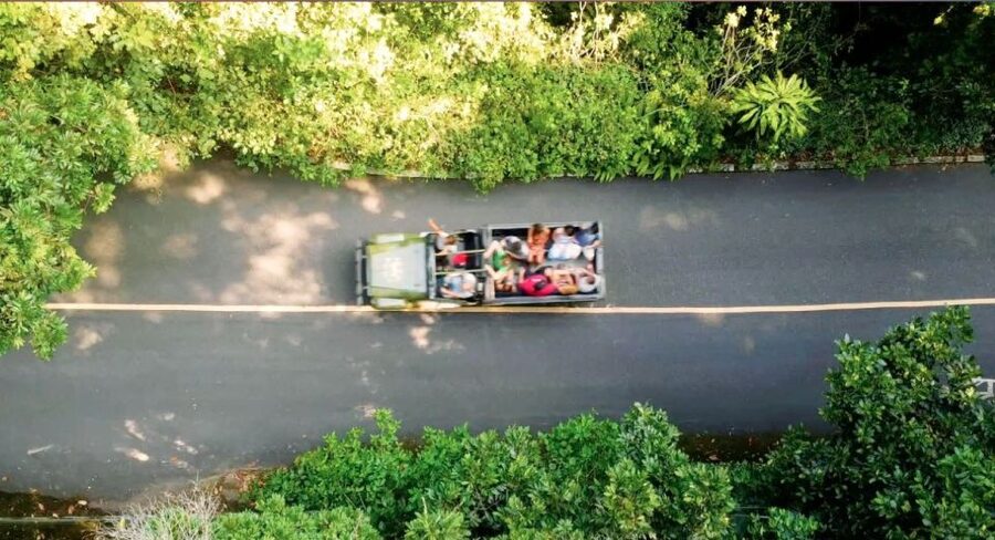 Rio: Jeep Tour with Corcovado, Tijuca Forest and Sta Teresa - Who should book this Rio Jeep Tour?