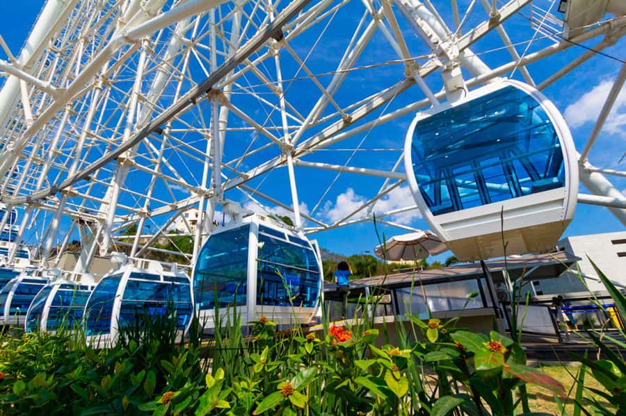 Rio: Museum of Tomorrow, Yup Star & Olympic Boulevard - Key things to know before you go