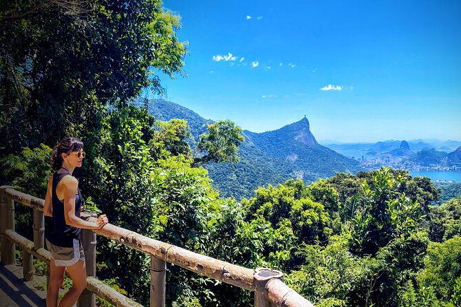 Rio Nature Secrets - The Eco Citytour (small group or private) - One full day, seven nature stops: the overall vibe