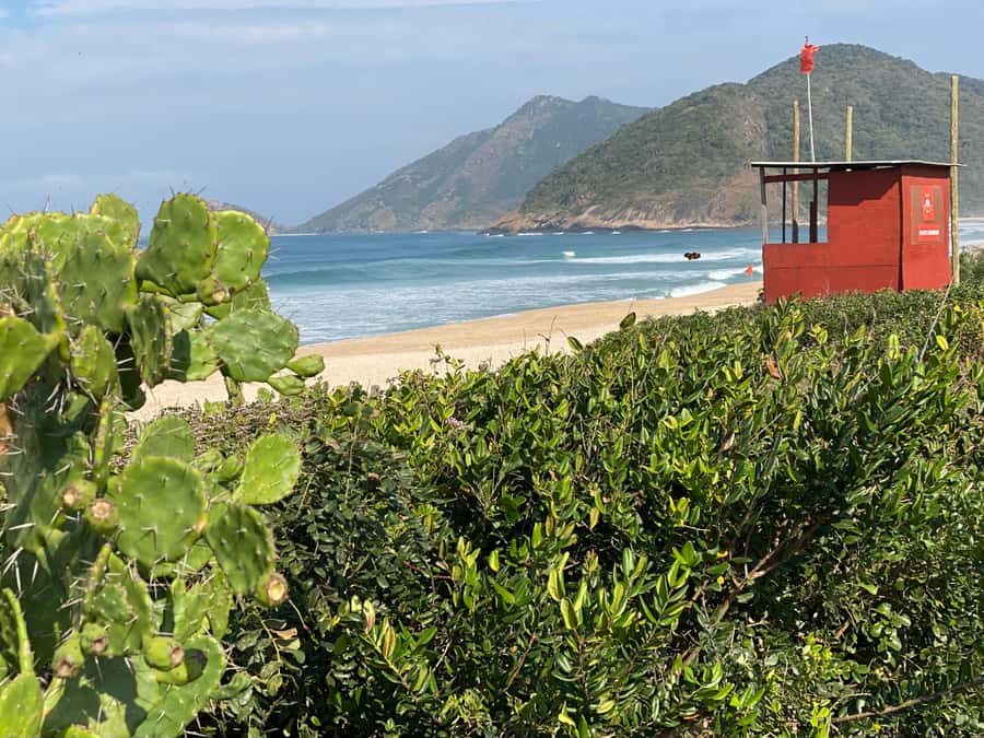 Rio: Pedra do Telégrafo Hiking & Relax in a Wild Beach - Price and Value: When $76 Actually Feels Like a Deal