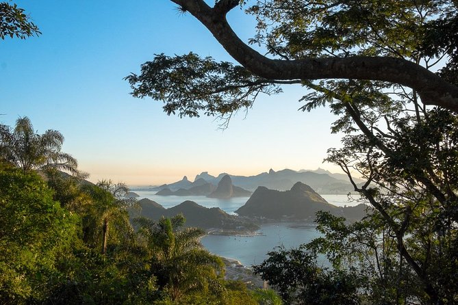 Rio Photo Tours - Full Day Customized Private Tour (7-8 hours) - The 11:00 start, and why the timing matters for your images