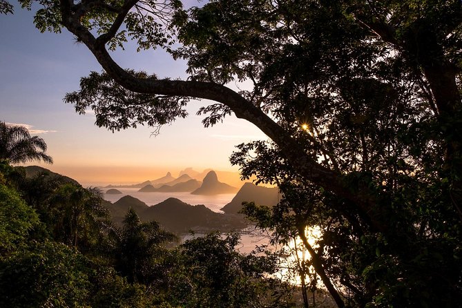 Rio Photo Tours - Half Day Customized Private Tour (3-4 hours) - How the 3-4 hour flow actually works