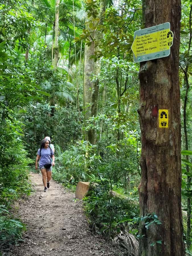 Rio: Private Tour 5 Hours Customized Tour With a Local Guide - Language fit and small hiccups you can avoid