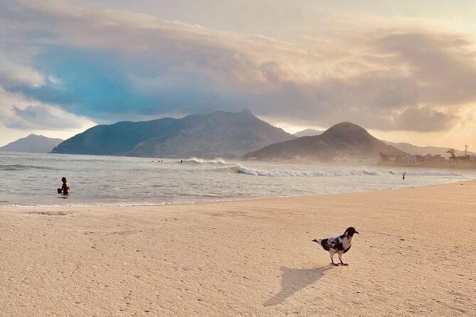 Rio private tour with English guide - Sugarloaf Mountain: cable car time and the $35 ticket