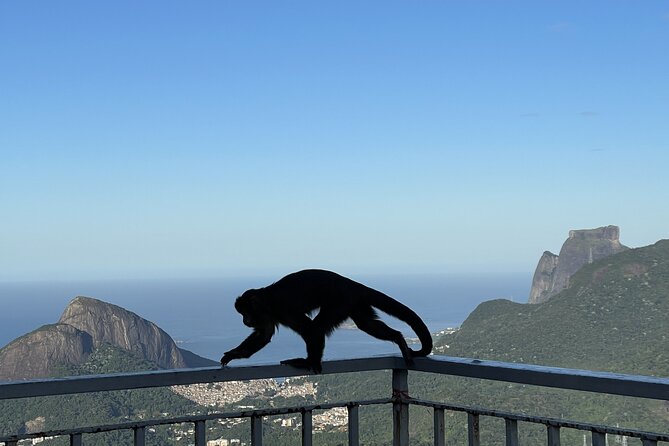 Rio private tour with English guide - Copacabana break: a small taste of beach time