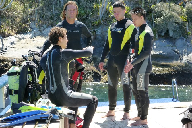 Rio's Best Dive Experience All Inclusive Scuba Diving Package! - Rio to Arraial do Cabo at 5:30 am, and why it works