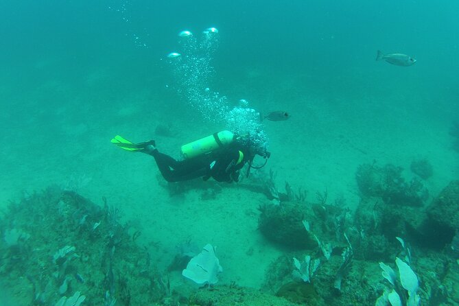 Rio's Best Dive Experience All Inclusive Scuba Diving Package! - The boat ride to the best spots is part of the point
