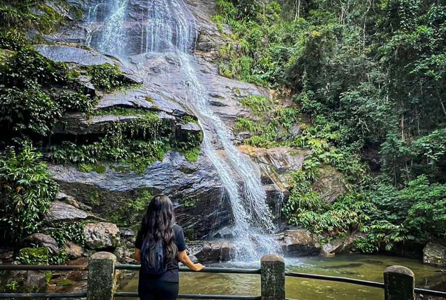 Rio’s Green Treasures: Tijuca Forest & Jardim Botânico Tour - Should you book Rio’s Green Treasures?