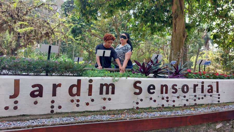 Rio’s Green Treasures: Tijuca Forest & Jardim Botânico Tour - What to pack for a comfortable day in heat and humidity