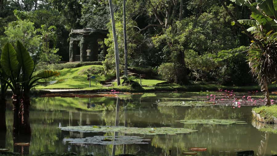 Rio’s Green Treasures: Tijuca Forest & Jardim Botânico Tour - Who should book this tour, and who might skip it