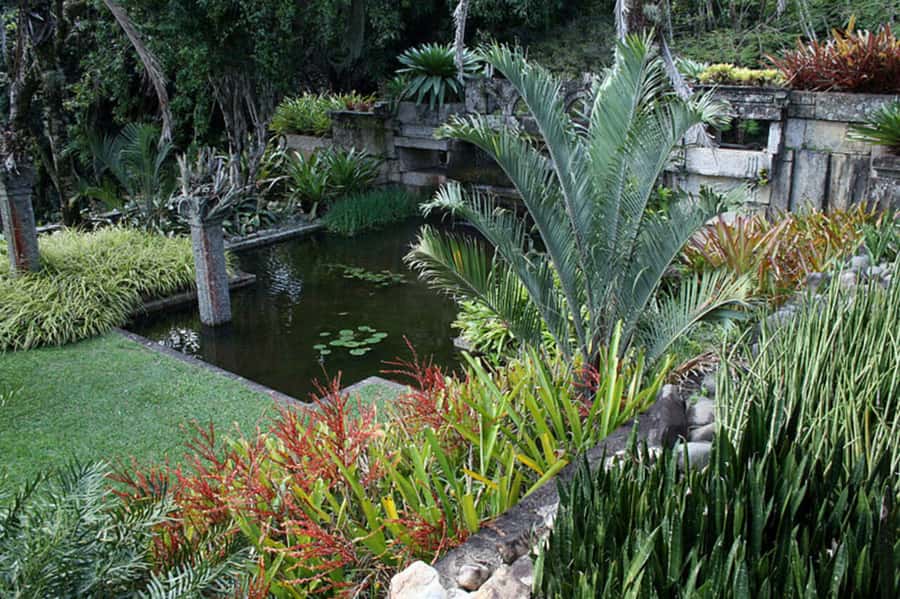 Rio: Sitio Burle Marx and Cachaça Distillery Private Tour - Key things to know before you go