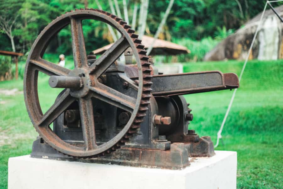 Rio: Sitio Burle Marx and Cachaça Distillery Private Tour - Who This Tour Is Best For