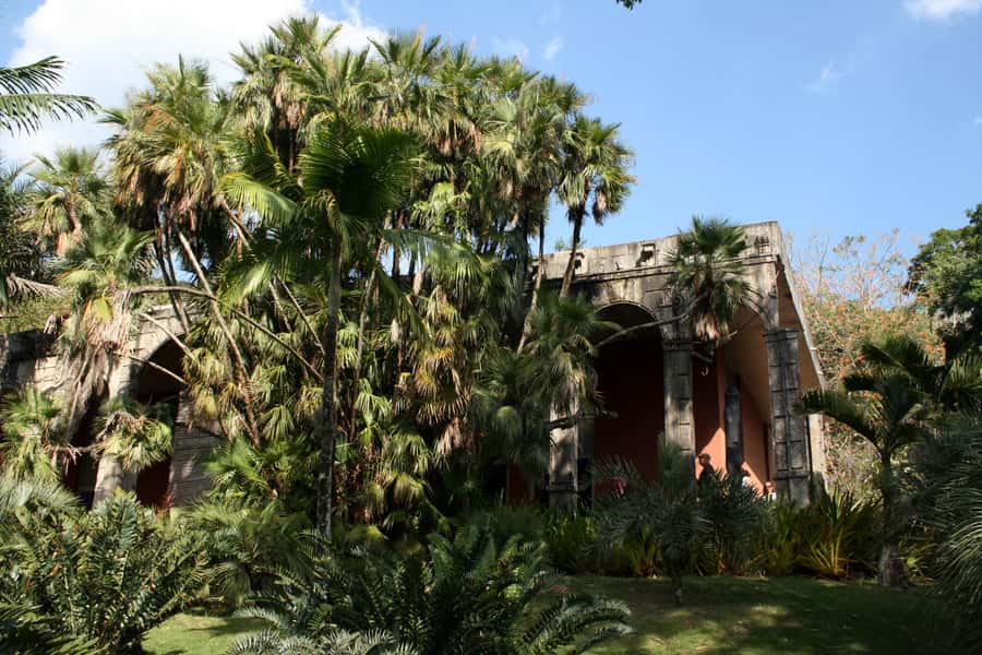 Rio: Sitio Burle Marx and Cachaça Distillery Private Tour - Sitio Burle Marx: Plants, Artifacts, and Why This Place Feels Different