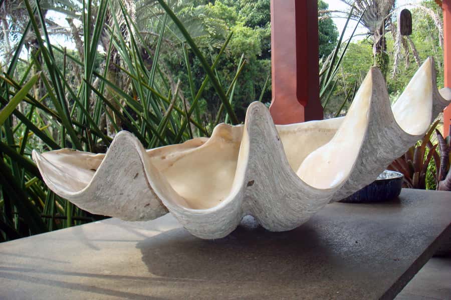 Rio: Sitio Burle Marx and Cachaça Distillery Private Tour - Lunch Choices: Keep the Day Flowing Without Overthinking It