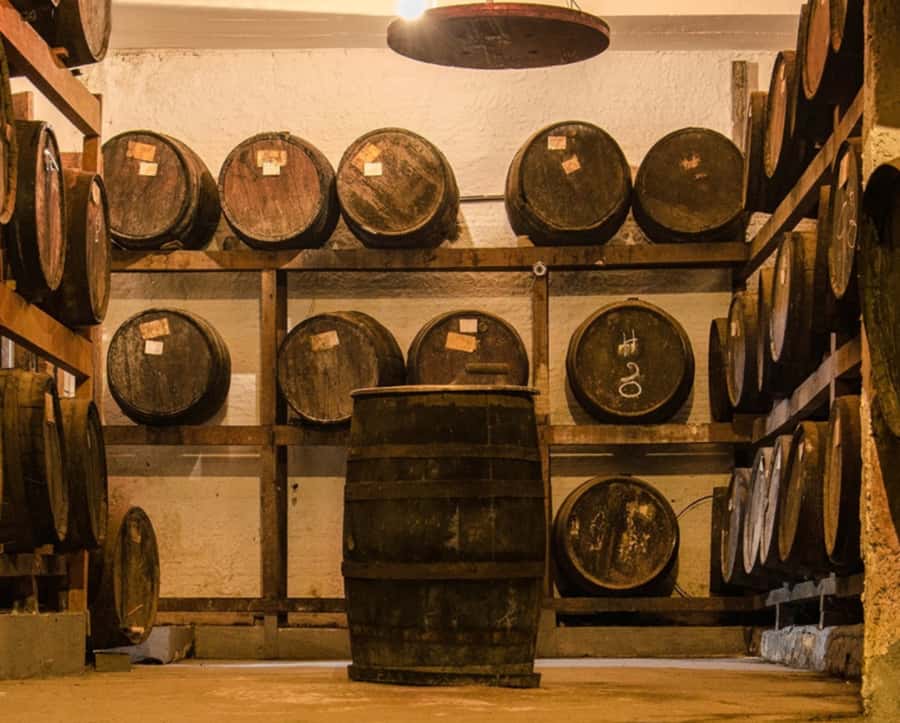 Rio: Sitio Burle Marx and Cachaça Distillery Private Tour - Price and Value: Is $178 Reasonable for a Private Full-Day Mix?