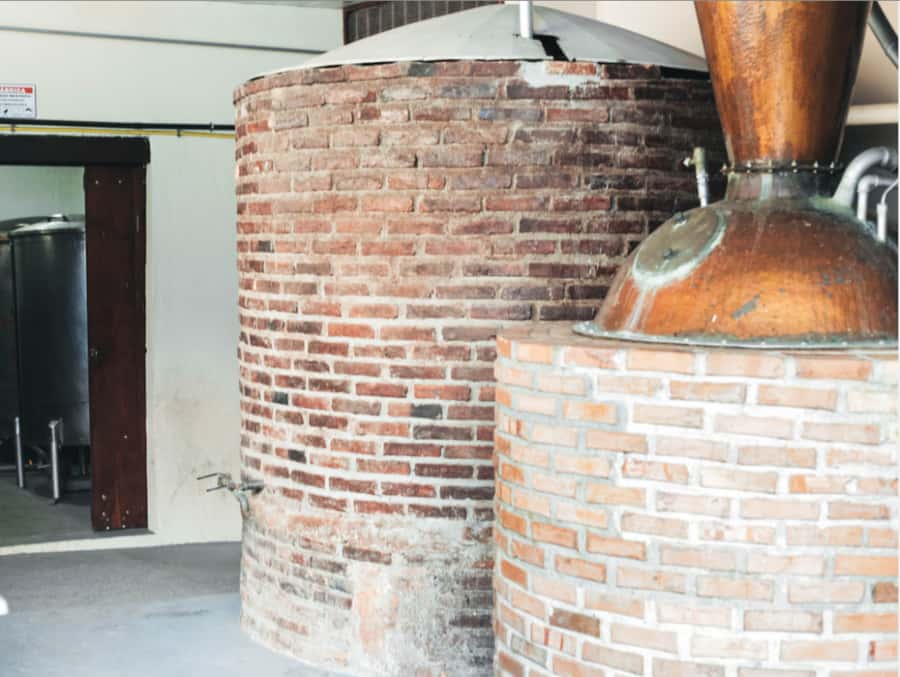 Rio: Sitio Burle Marx and Cachaça Distillery Private Tour - What to Bring (So You Don’t Have to Improvise)