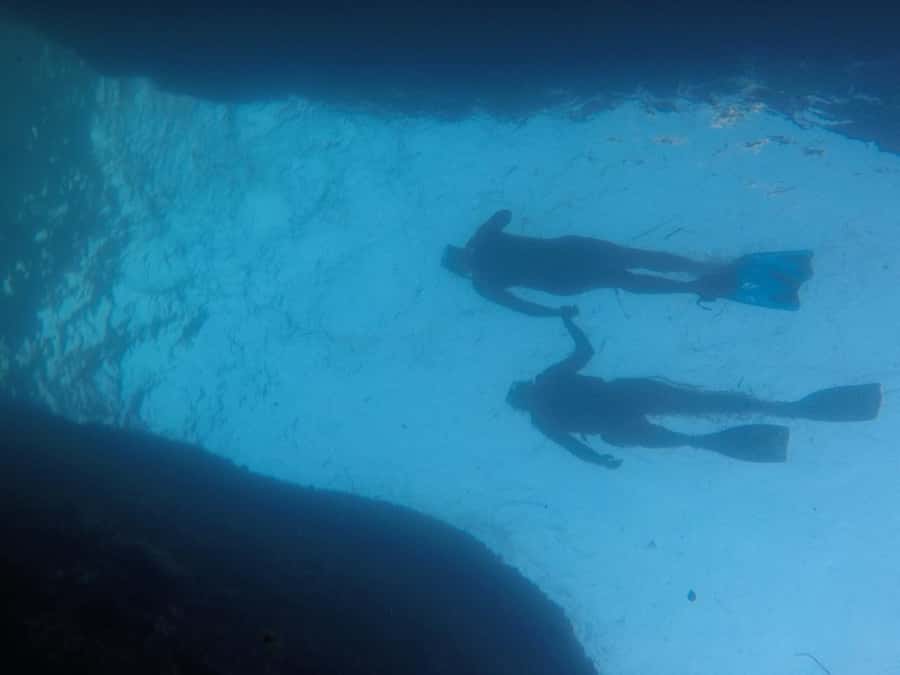 Rio: Snorkel & Swim with Turtles Tour at Tijuca Islands - Key highlights to know before you go
