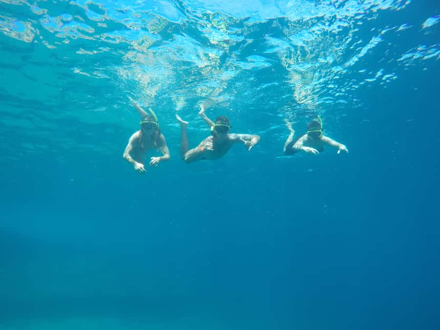 Rio: Snorkel & Swim with Turtles Tour at Tijuca Islands - Snorkeling expectations: what you’re really paying for