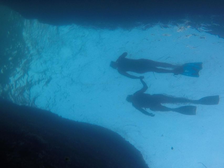 Rio: Snorkel & Swim with Turtles Tour at Tijuca Islands - The views that make it feel like more than a snorkel trip