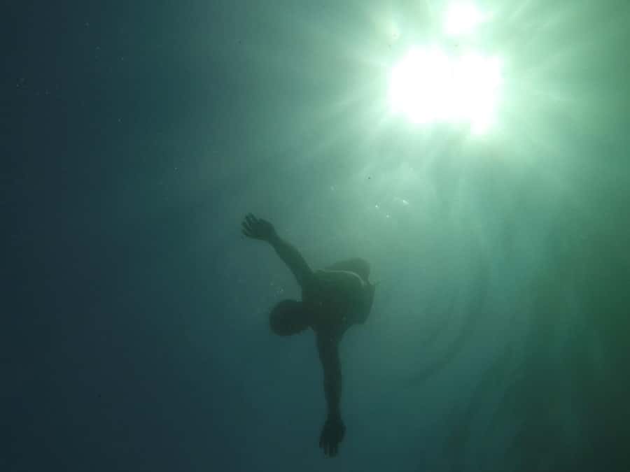 Rio: Snorkel & Swim with Turtles Tour at Tijuca Islands - Who should book this snorkel and turtle tour