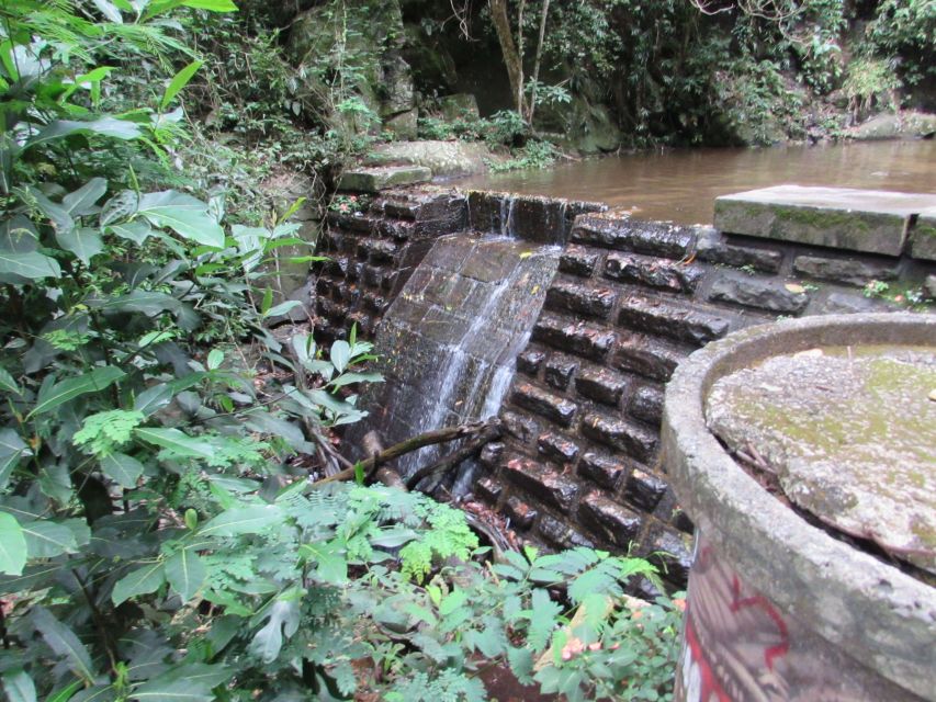Rio: Tijuca Forest & Horto Waterfalls Circuit Tour - Key things I’d circle before you go