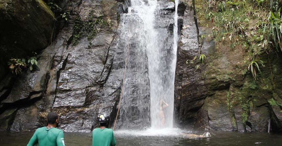 Rio: Tijuca Forest & Horto Waterfalls Circuit Tour - From the Horto path to Jequitibá Waterfall: where the forest starts doing its job