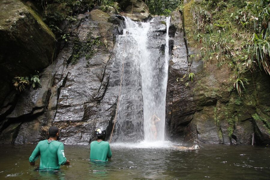 Rio: Tijuca Forest & Horto Waterfalls Circuit Tour - Wildlife and plant stories: how the guide turns walking into understanding
