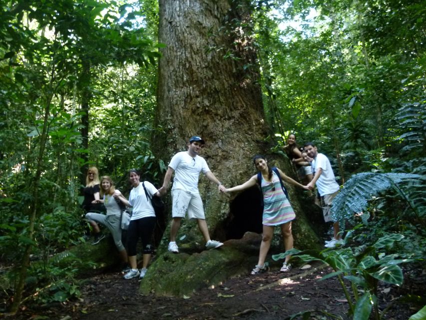 Rio: Tijuca Forest & Horto Waterfalls Circuit Tour - Group size, languages, and the human pace that matters