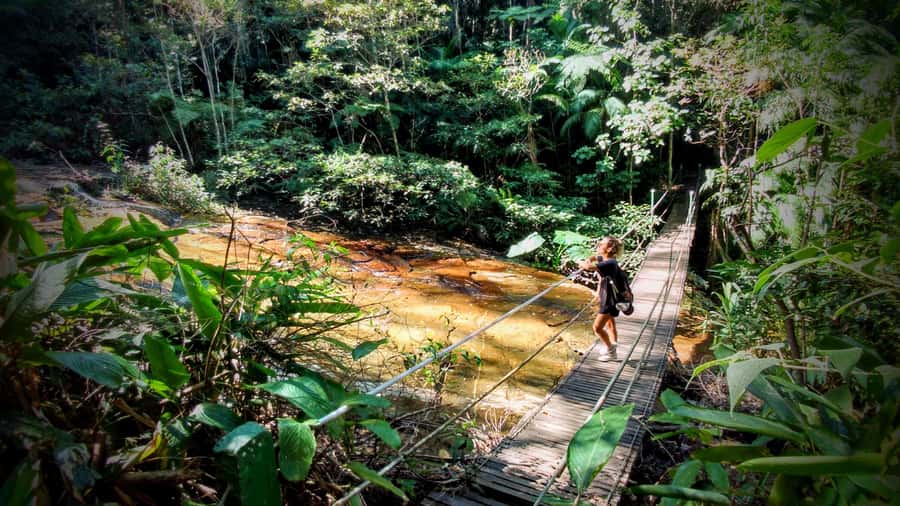 Rio: Tijuca Forest Small Group Hike to Caves and Waterfalls - Tijuca Forest feels like a different Rio