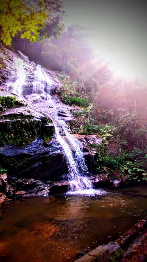 Rio: Tijuca Forest Small Group Hike to Caves and Waterfalls - Guides make or break the day, and this one is strong