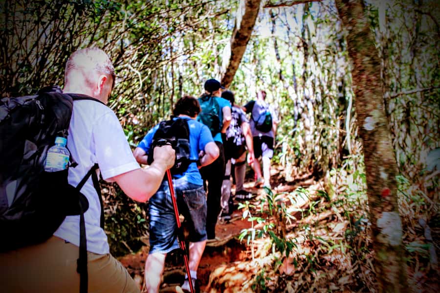 Rio: Tijuca Forest Small Group Hike to Caves and Waterfalls - What to bring so you feel comfortable on the trail