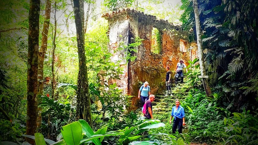 Rio: Tijuca Forest Small Group Hike to Caves and Waterfalls - The hike: how the 6.2 km loop really plays out