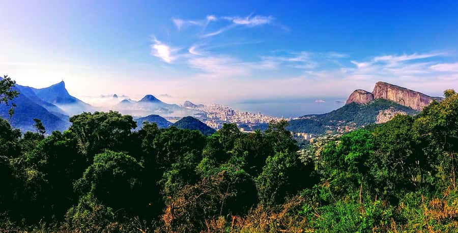 Rio: Tijuca National Park Small-Group Hike to Pedra Bonita - The Hidden Value: Coffee Farm Stories and Forest Recovery