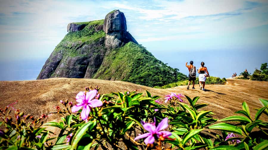 Rio: Tijuca National Park Small-Group Hike to Pedra Bonita - Fitness, Weather, and What to Bring So the Day Stays Fun